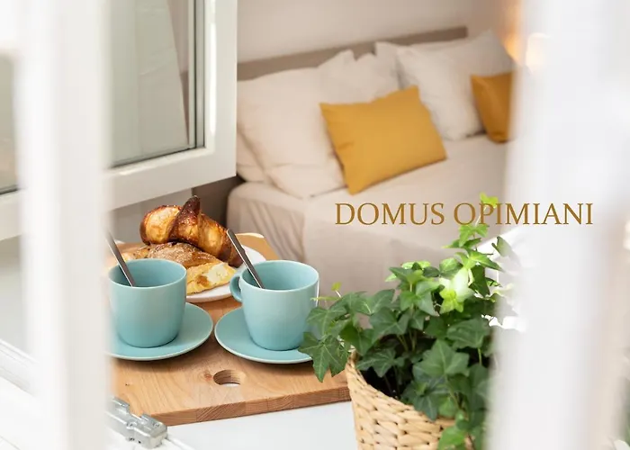 Domus Opimiani * Roma